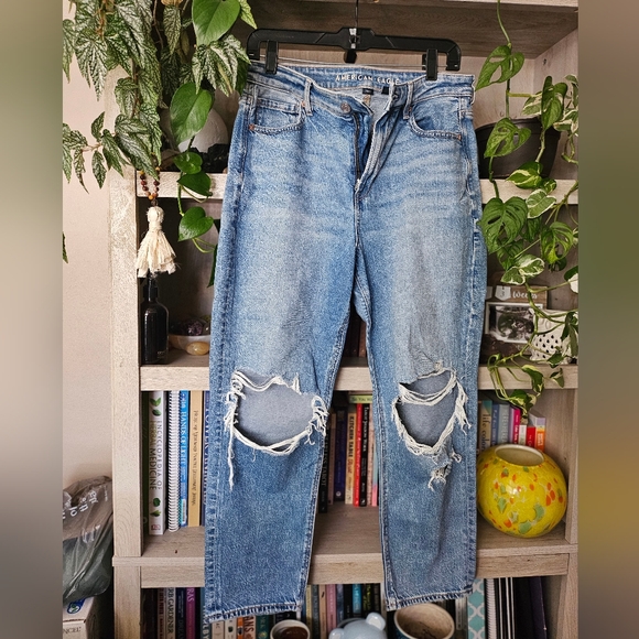 American Eagle Outfitters Denim - American Eagle Strigid Mom Jean 10 Extra Short